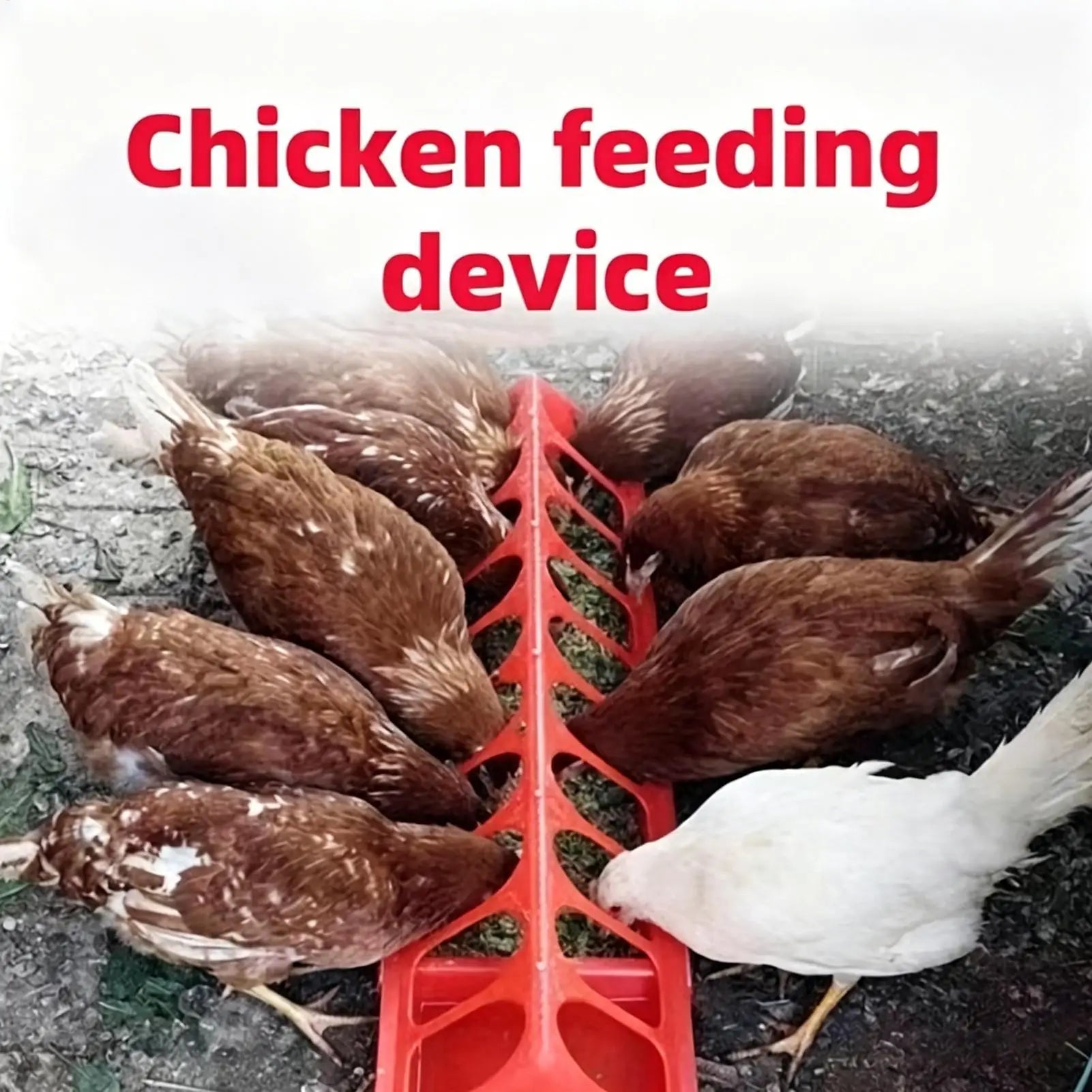 Chicken Feeder Trough Anti-Leak Easy-Fill Animals Bowl Chicken Feeder Anti-waste Drinker For Chicks Ducklings Goslings Quail Qme