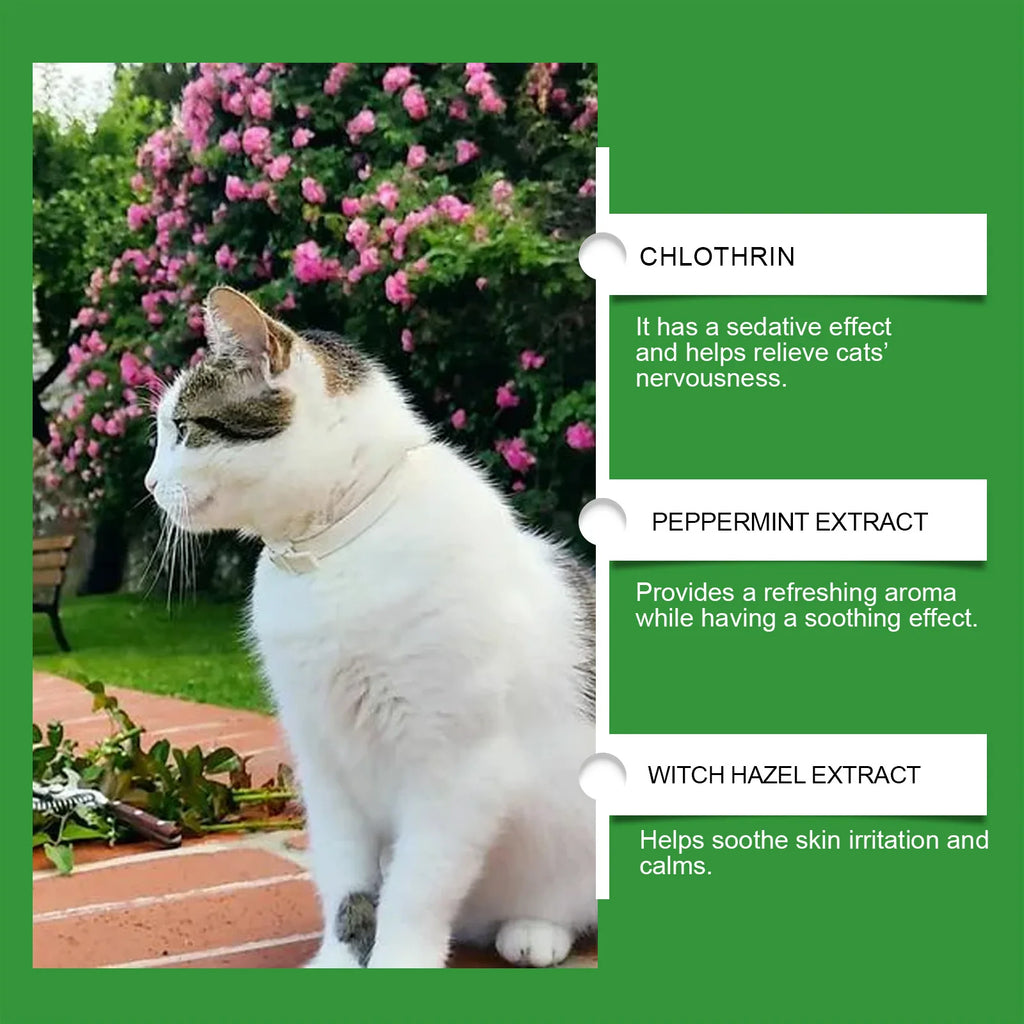 Cat Calming Diffuser Cat Pheromone Plug-In Relaxants Prevent Howling Pet Dogs Anti-Anxiety Reduces Anxiety Cat Calming Liquid Qme