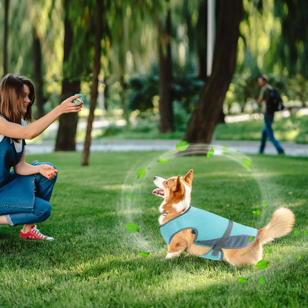 Dog Cooling Harness Cooling Dog Harness Summer Vest UV Protection Adjustable Shirt Pet Outfit For Small Medium Puppy Hiking Qme