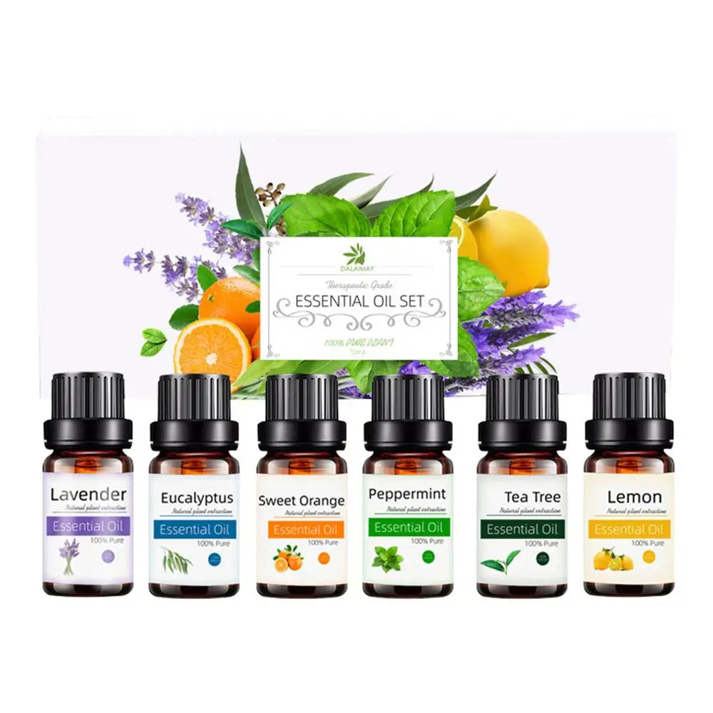 Bakery Essential Oils Premium Fragrance Oil Blueberry Pancake Sugar Qme 18 10mlx6pcs China Mainland