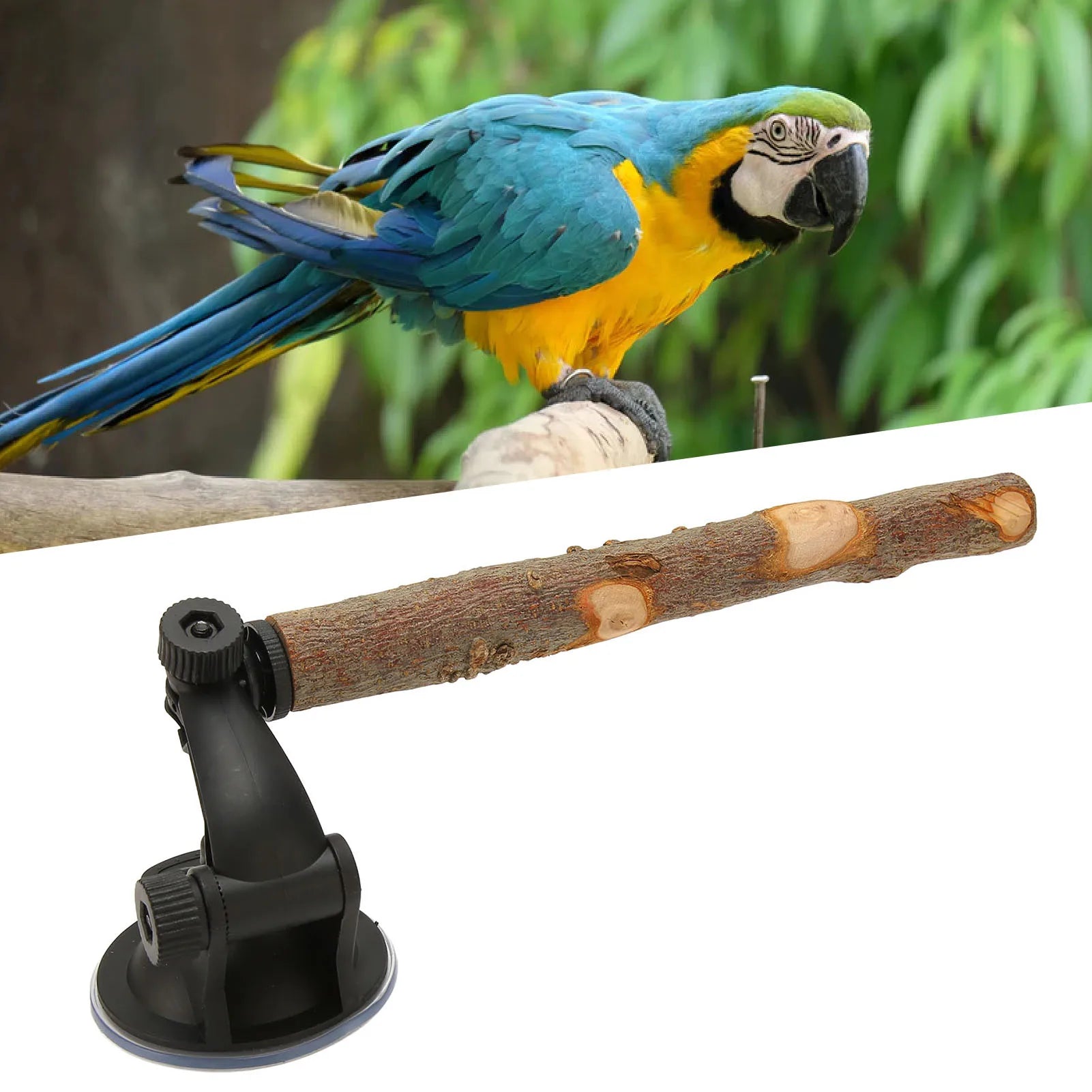 Parrot Suction Cup Window Perch Stand Bird Bath Perch Wooden Wall Mounted Bird Stand Interactive Training Cage Perch for Bird Qme