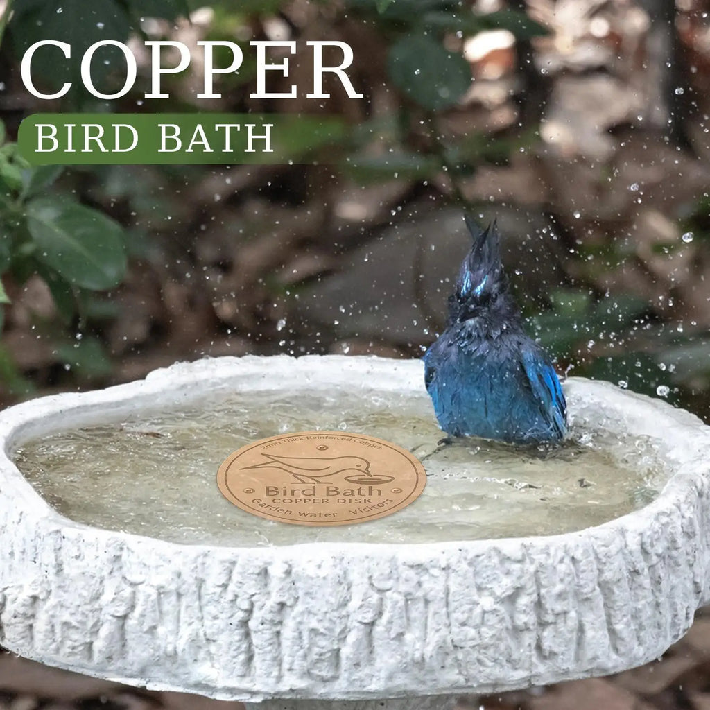 Water Fountain Disk for Bird Bath Copper Cleaning Disk Feeder Accessories Triple-Point Support Purifier Disc for Water Bowl Qme