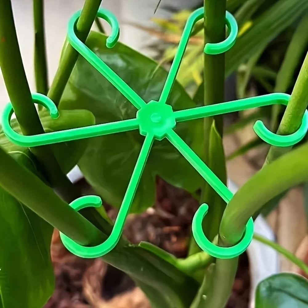 4Pcs Plant Stem Support Clips Turtle Back Bamboo Flower Stem Fixing Rack Climbing Support Holder Hydroponic Tree Branch Fixation Qme