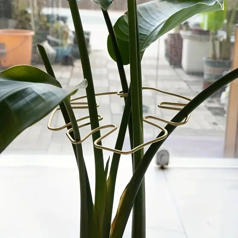 Indoor Outdoor Stem Upright Support Ring Monstera Leaf Anti-fall Plant Shaping Wire Holder For Plant Potted Growth Styling Tool Qme