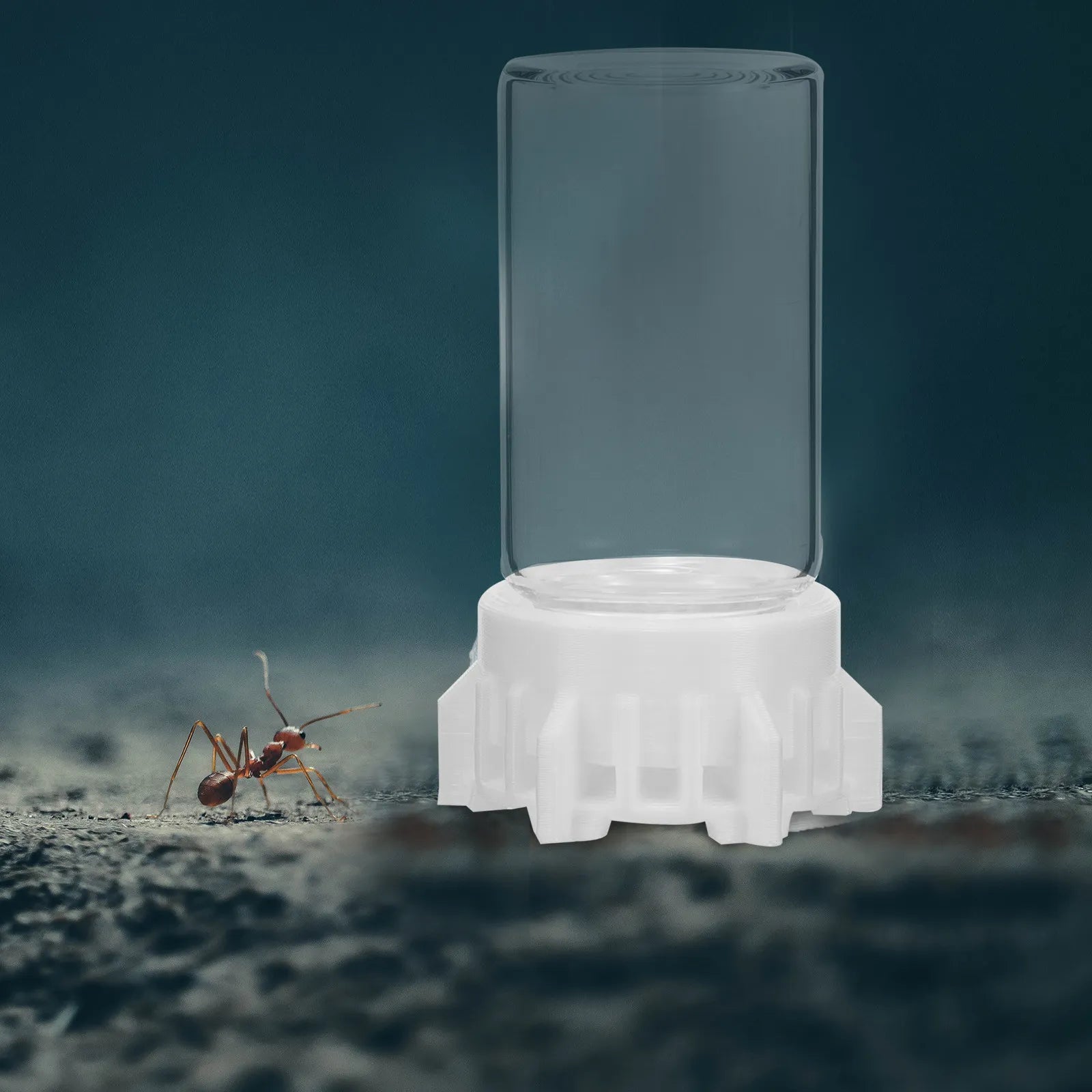 Ant Waterer Cup 20ml High Stability Reusable Ants Garden Accessories Simple Operation Professional Use Ant Feeder Qme