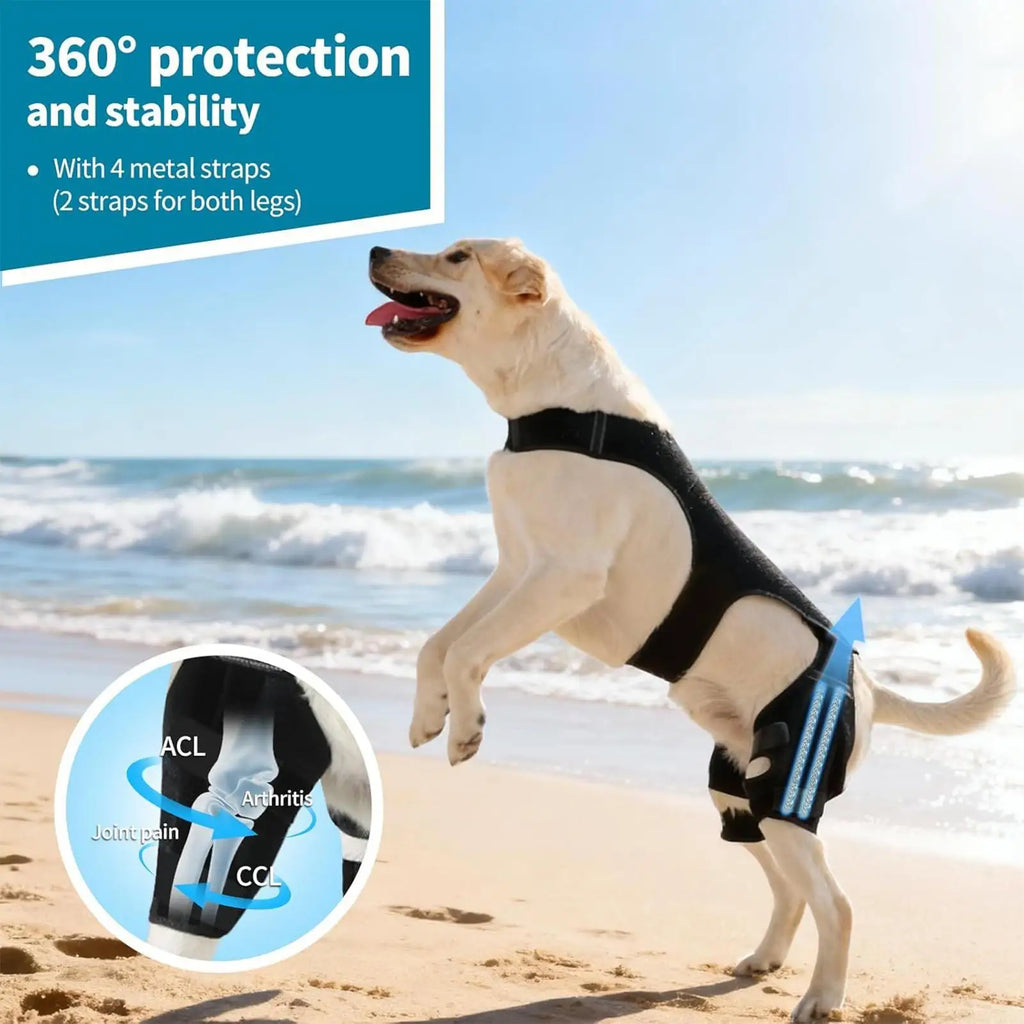 Dog Leg Brace Adjustable Wrap Joint Sleeve with 4 Metal Stabilizers Rear Leg Support for Hiking Exercise Outdoor Activities Park Qme