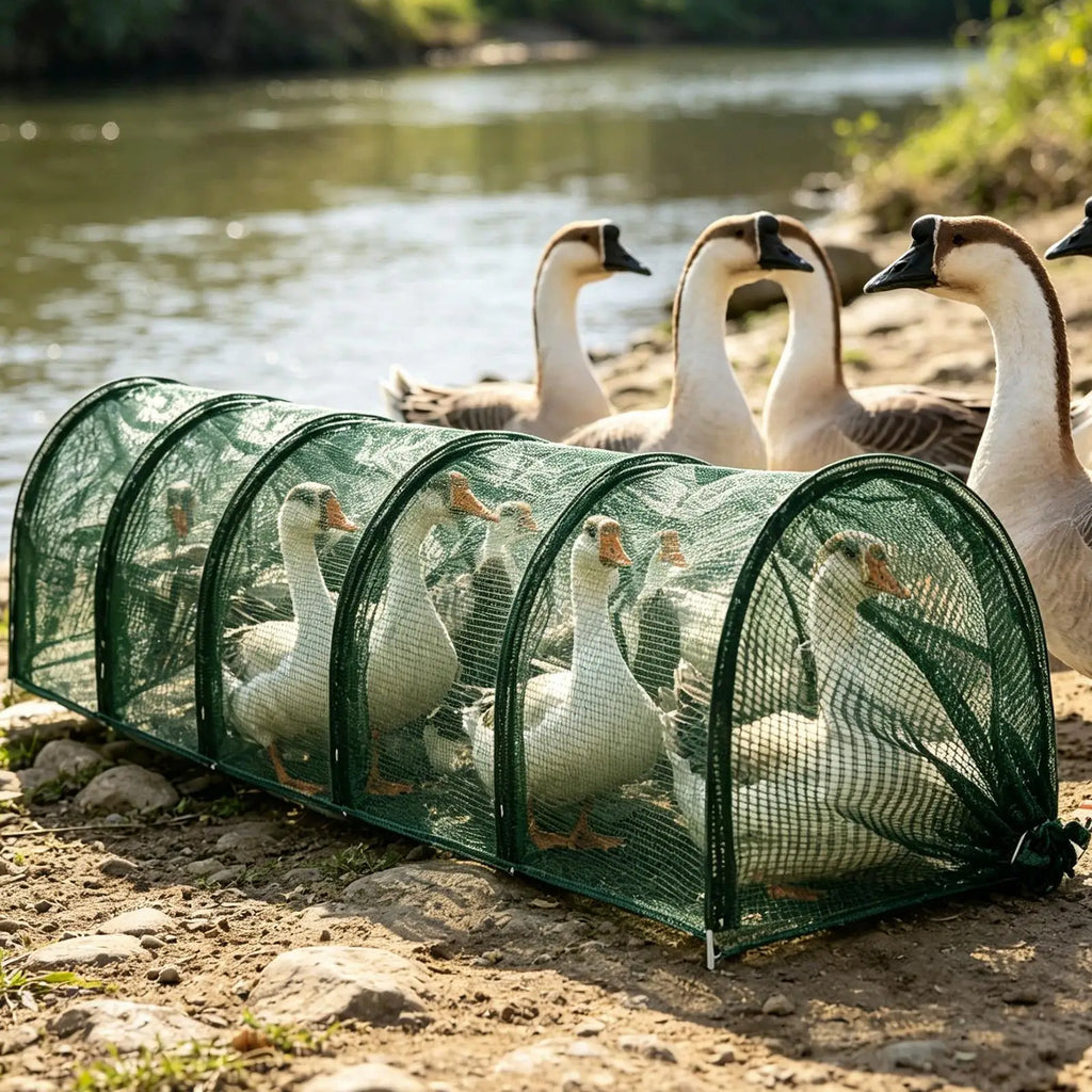Yard Outside Chicken Tunnels Foldable Long Quick Installation Qme