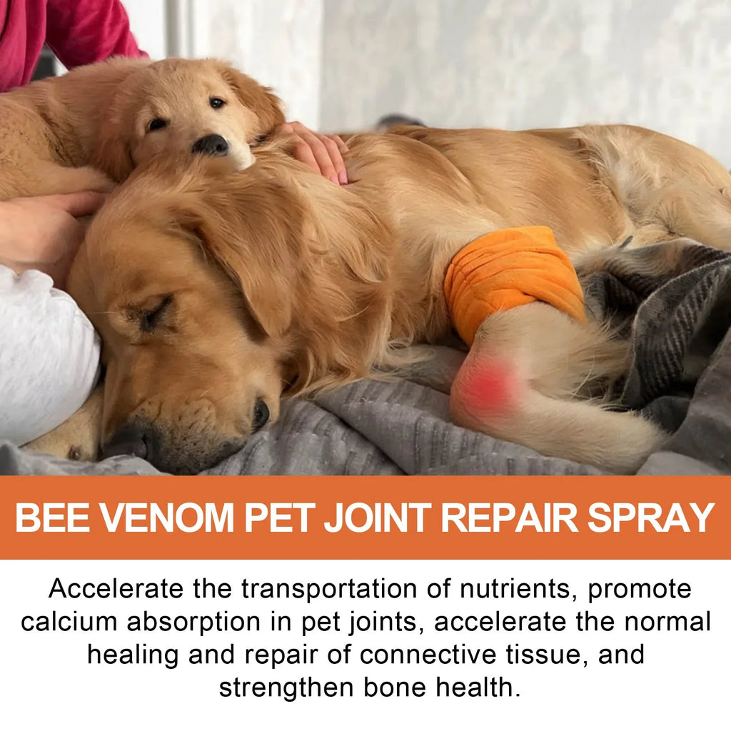 Pet Joint Repair Spray Dog Cat Bone Deformity Osteoarthritis Healing Multifunctional Joint Care Liquid Pet Bone Care Supplies Qme