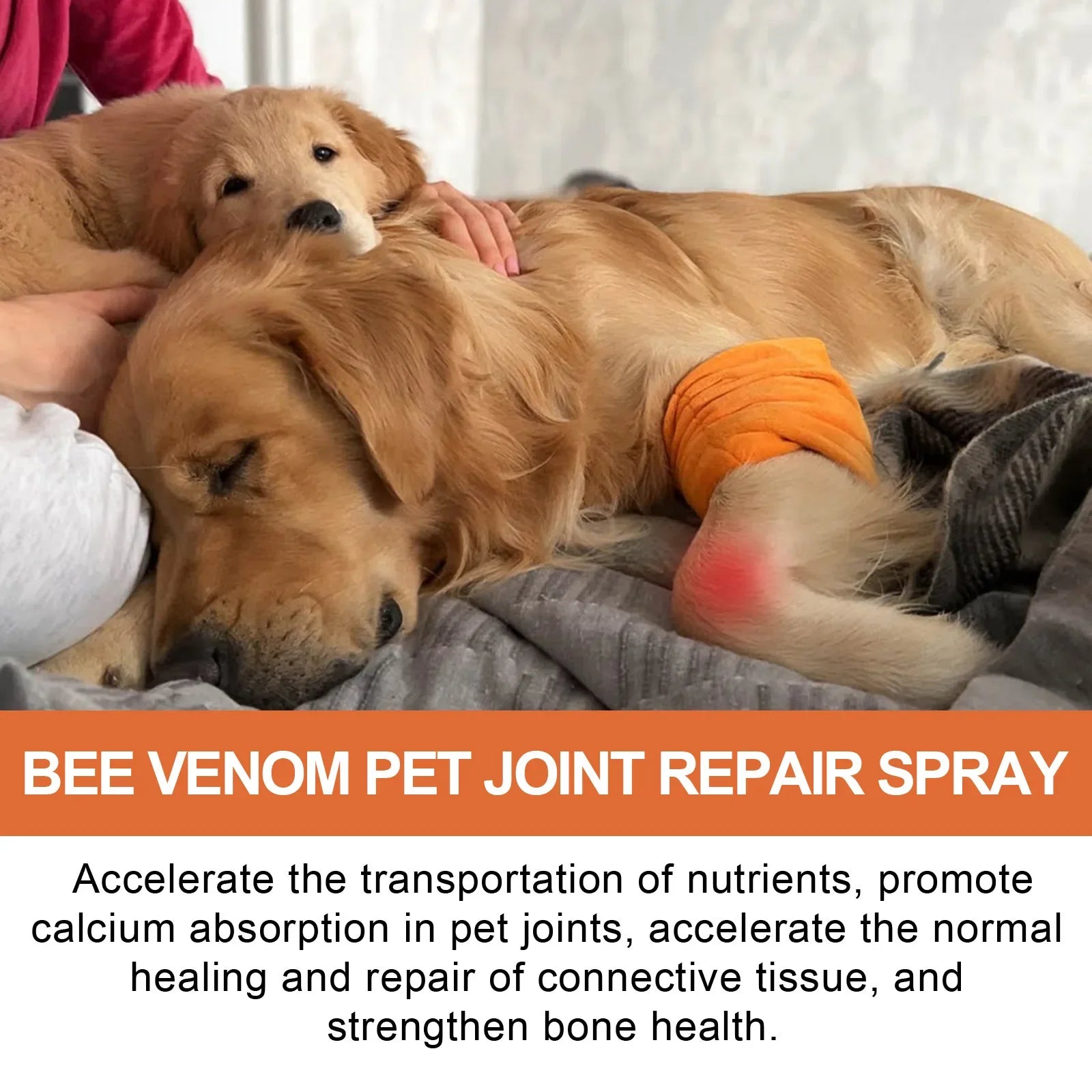 Pet Joint Repair Spray Dog Cat Bone Deformity Osteoarthritis Healing Multifunctional Joint Care Liquid Pet Bone Care Supplies Qme