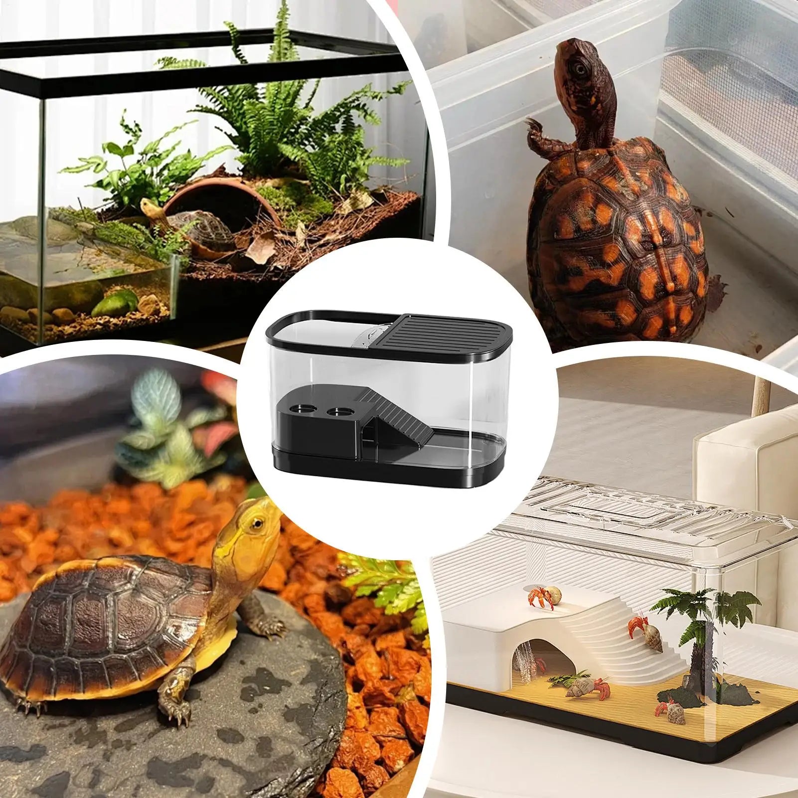 Reptile Enclosure Container Snack Habitat Tank Bearded Dragon Gecko Qme