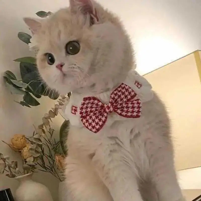 Small Dogs Puppies Tie Accessories Cute Cat Collar Wool Crocheted Qme