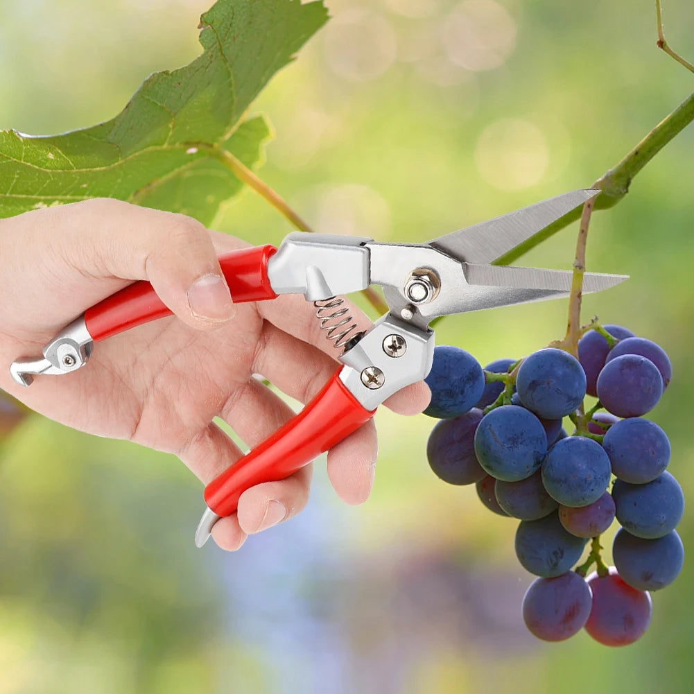 Plant Pruning Shears Sharp Rust Proof Hand Pruner Lightweight Durable Gardening Scissors For Flower Shrub Fruit Tree Branch Qme