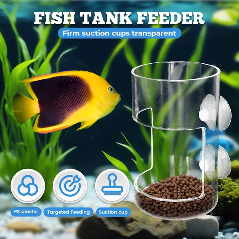 1Pc Fish Feeder For Aquarium 2025 New Fish Tank Dish Tray With Suction Cup Acrylic Fish Food Holder Fish Feeding Tube. Qme