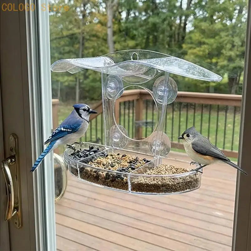 Innovative Viewable Bird Eating Tool Produced Easy Cleaning Handling Qme