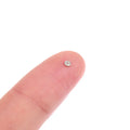 Multi-size Watch Screws Movement Repair Tools Part Watchmaker Tiny Qme Default Title