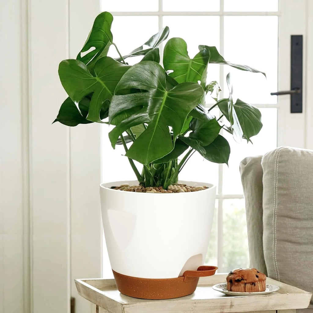 Indoor Decorative Flower Pot Drainage Hole 6-Pack Self-watering Qme