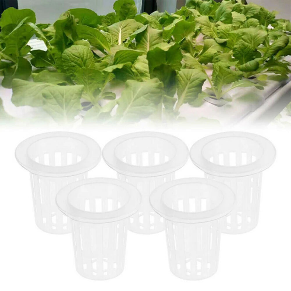 50PCS Plant Net Cup & 50PCS Cylinders Sponge Soilless Net Basket Grow Orchids Hydroponics Cups Garden Supplies Qme