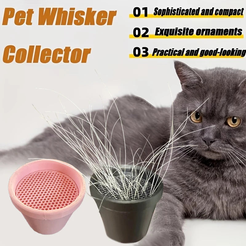 Pot Design Desktop Ornament Collectible Keepsake Cat Owners Pet Qme