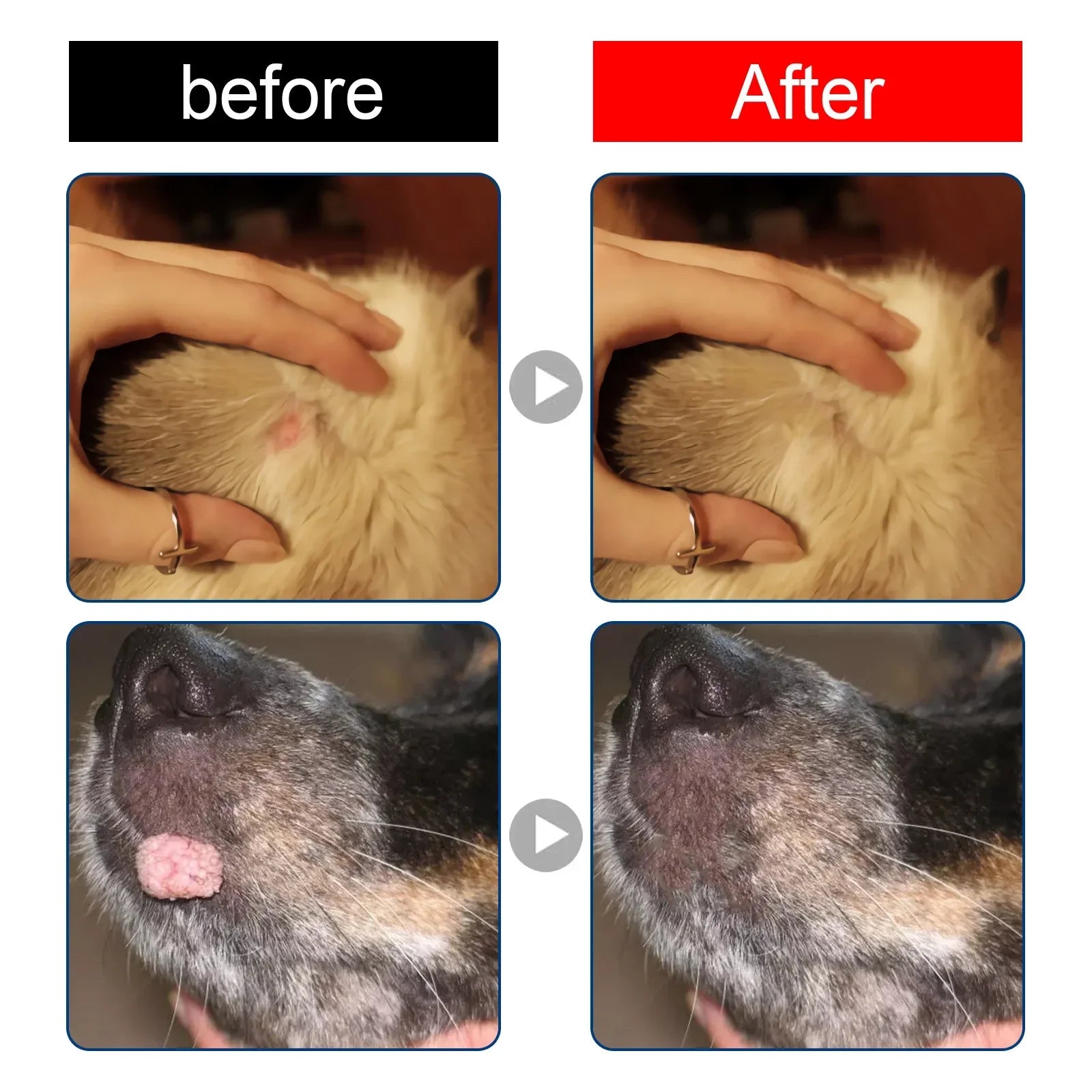 Dog Wart Remover Cat Skin Tags Removal Treat Against Moles Corn Painless Wart Clean Treatment Skin Repair Pet Skin Care Liquid Qme