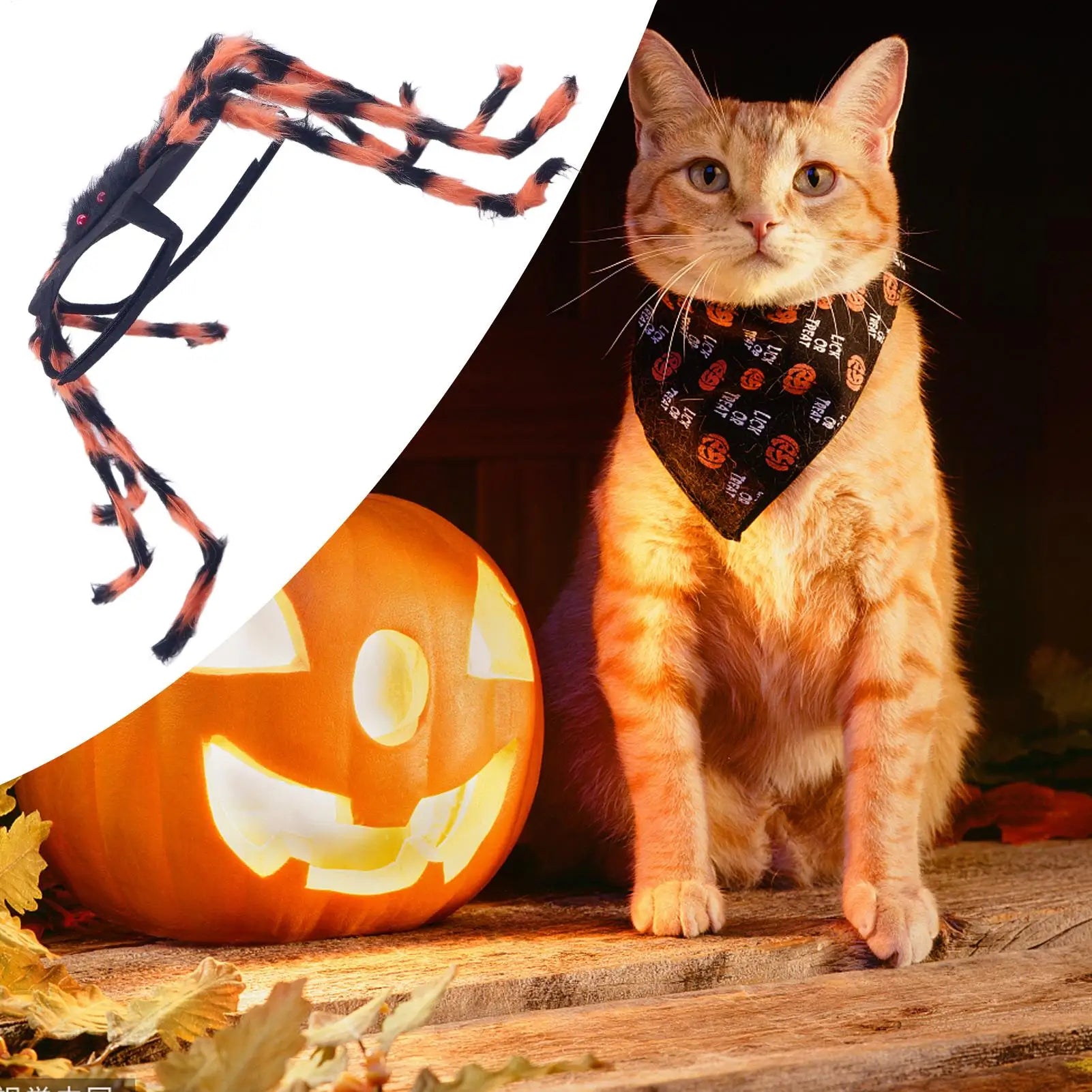 Dog Spider Costume Puppy Halloween Spider Cosplay Costumes Spooky Pet Cosplay Outfit Dress Up Accessories For Puppy Event Party Qme