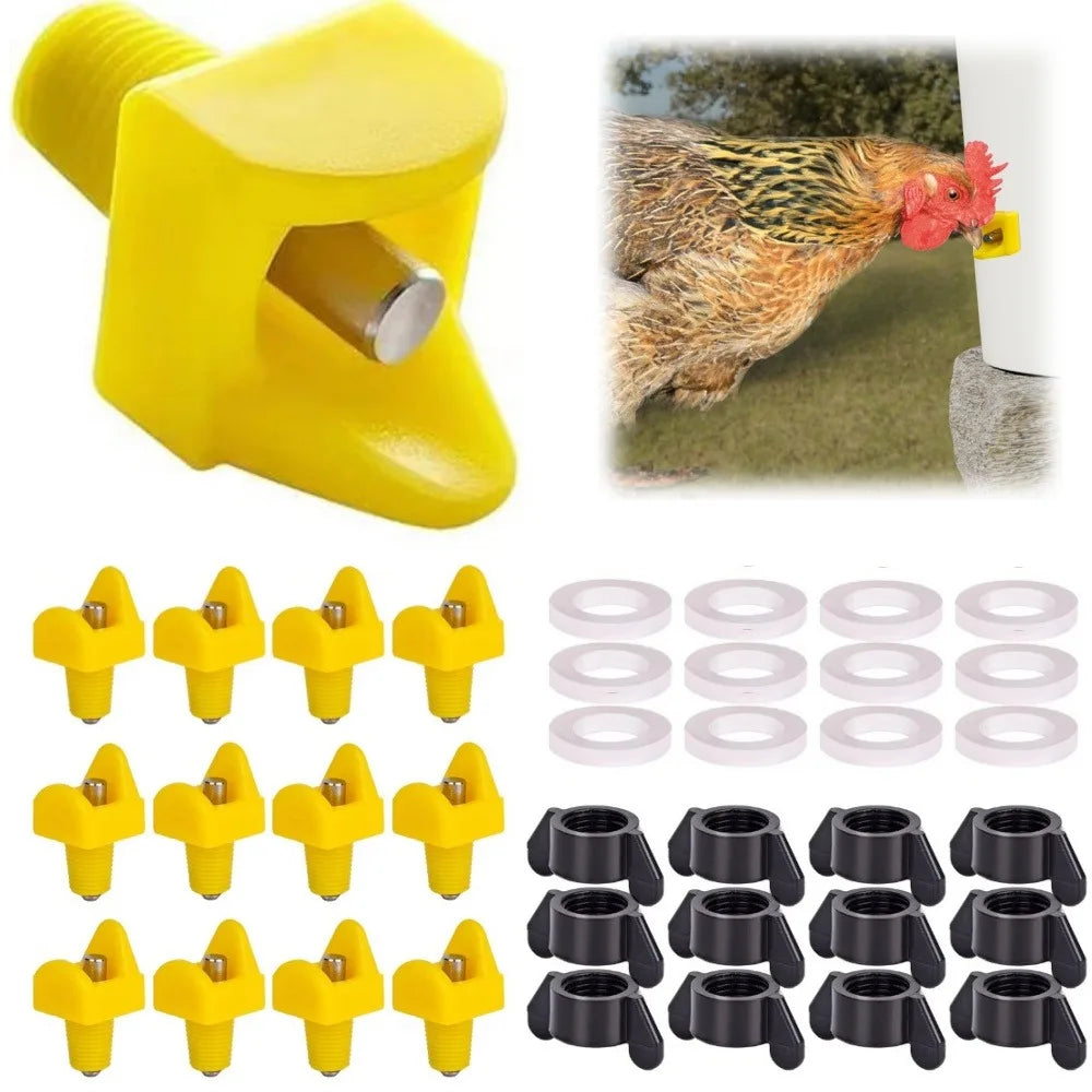 10-50pcs Chicken Automatic Water Dispenser Is Easy To Install and Not Prone To Water Leakage Poultry Automatic Water Dispenser Qme