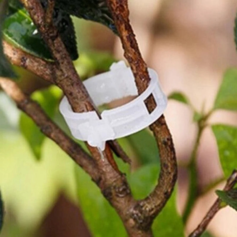 100Pcs veggie garden plant support clips for trellis twine greenhouse. Qme