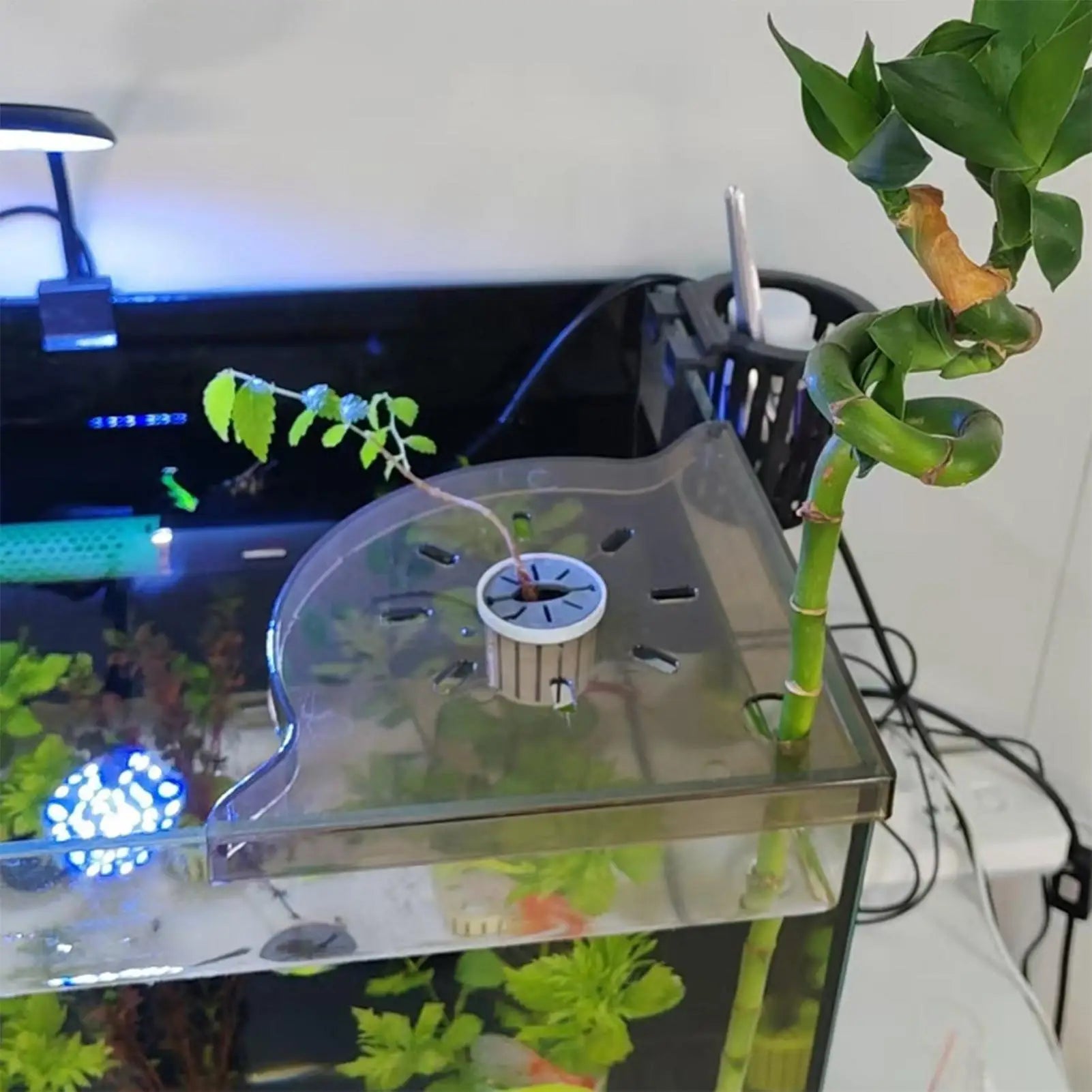 Aquarium Plant Holder Triangle Fish Tank Corner Shelf Reef Accessories Home Storage Stand For Family Friends Women Men Adults Qme