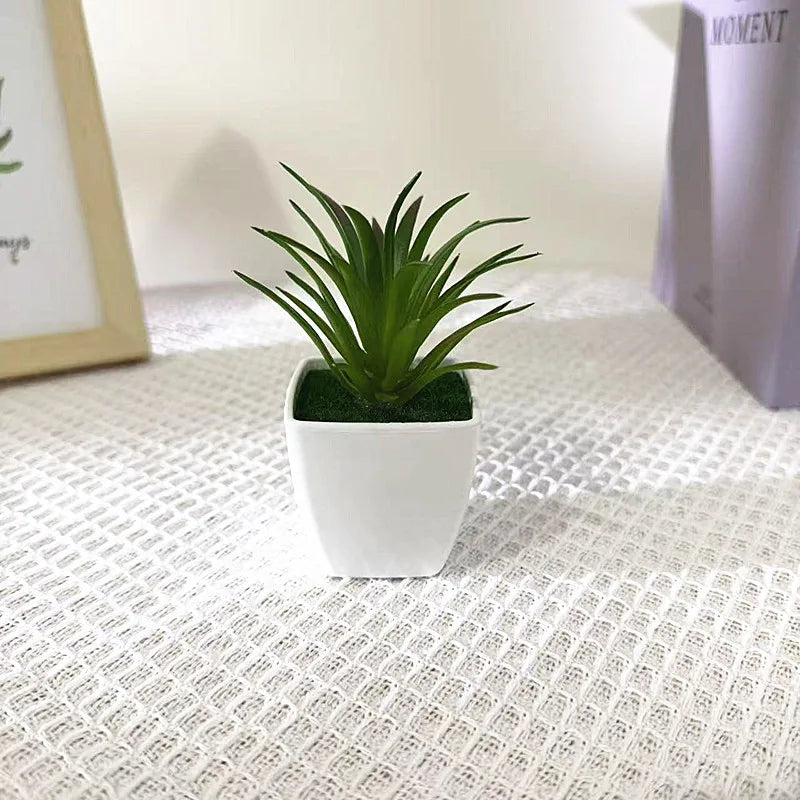 Faux Cactus Arrangements Small Imitation Foliage White Square Planter Qme small swordgrass