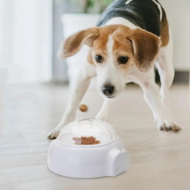 Interactive Dog Supports Dispenser Puppy Pet Tough Slow Feeder Qme