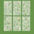 6 Pcs Journal Stickers, Plant and Flower Stickers,PET Waterproof Transparent Floral Patterns,DIY Photo Album Decoration Stickers Qme Daisy