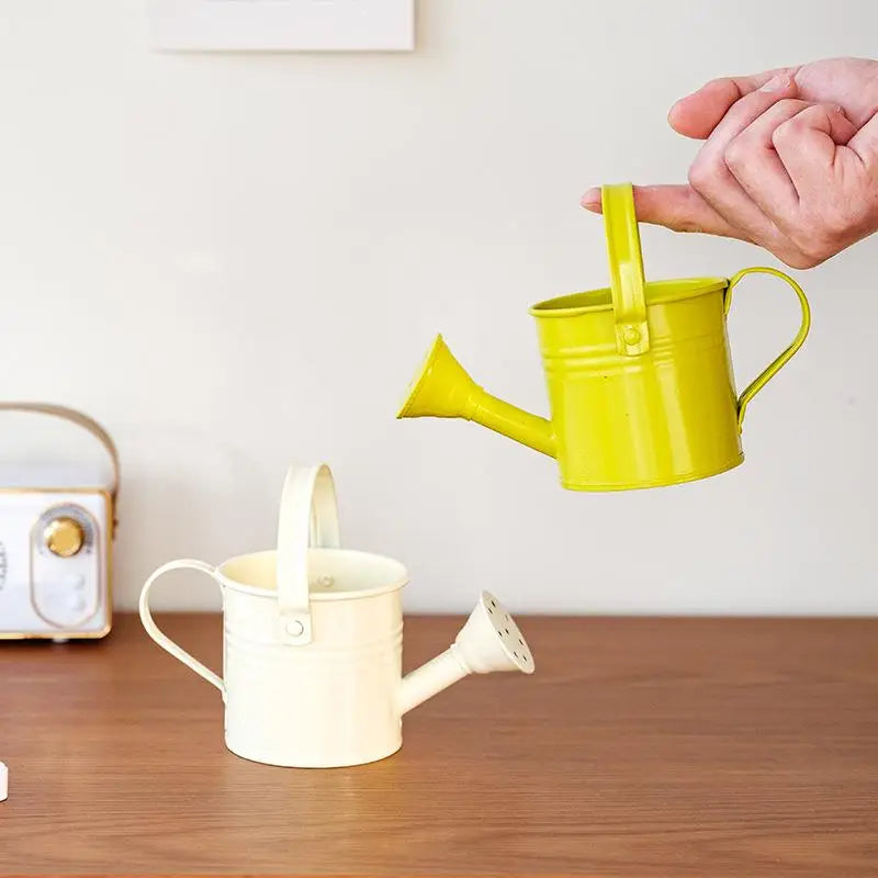 Mini Metal Watering Can Portable Lightweight Water Kettle Outdoor Qme