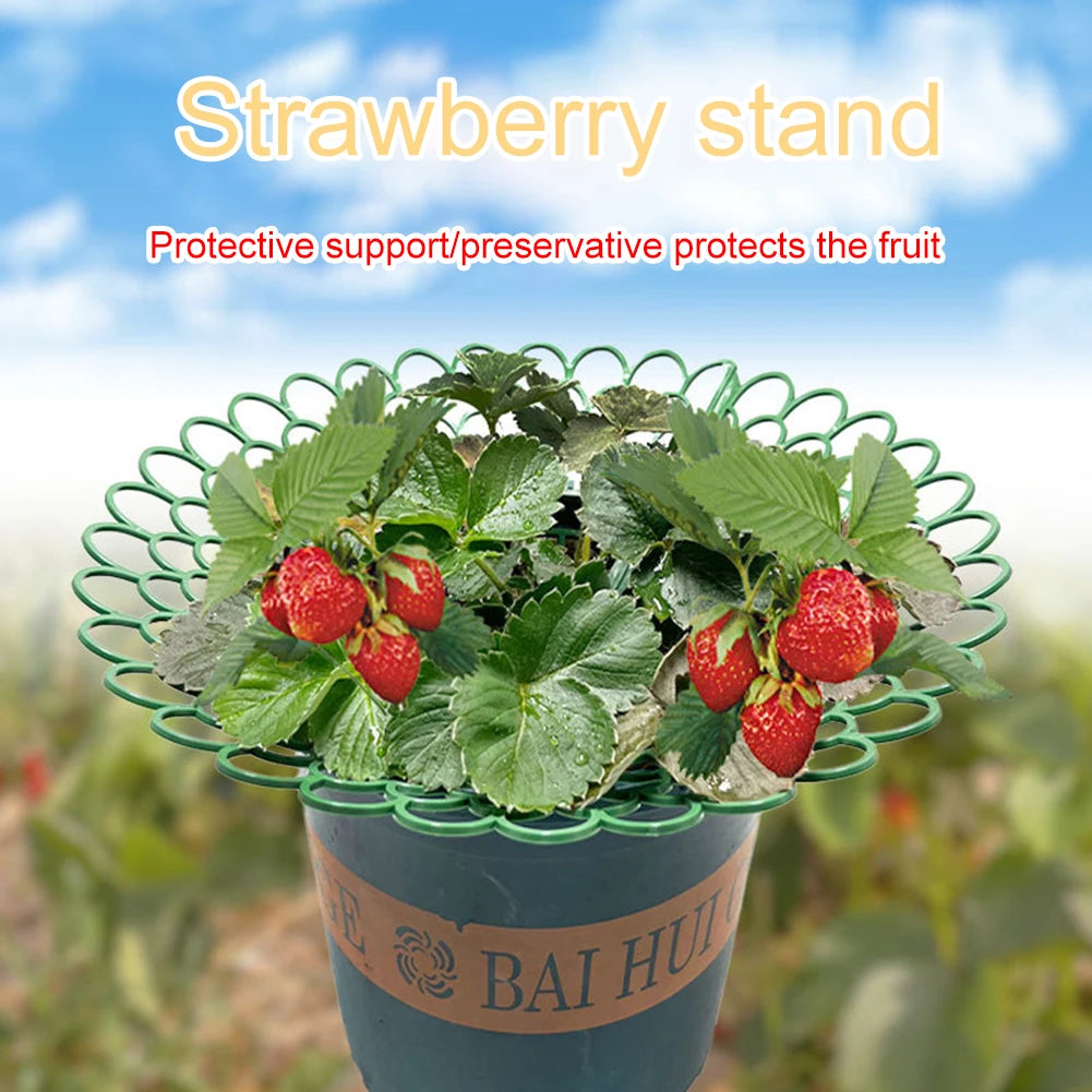 5PCS /10PCS Strawberry Supports For Enhanced Plant Stability 3 Feet Design To Protect Fruits And Maximize Garden Space Qme