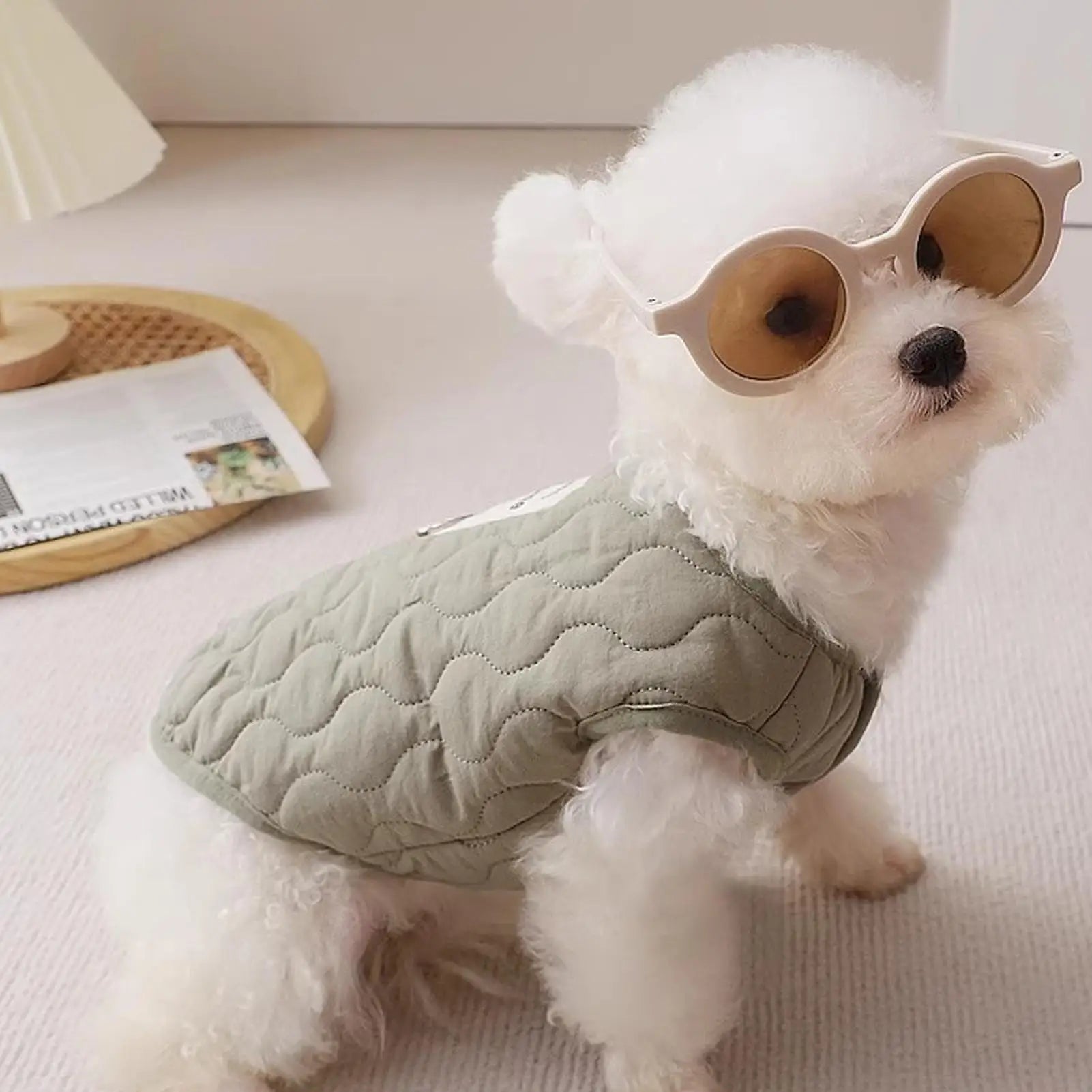 Small Dog Winter Jacket Warm Dog Jacket with Built in Harness Hole Cold Weather Pet Apparel Cozy Snow Vest for Small Dogs Cats Qme
