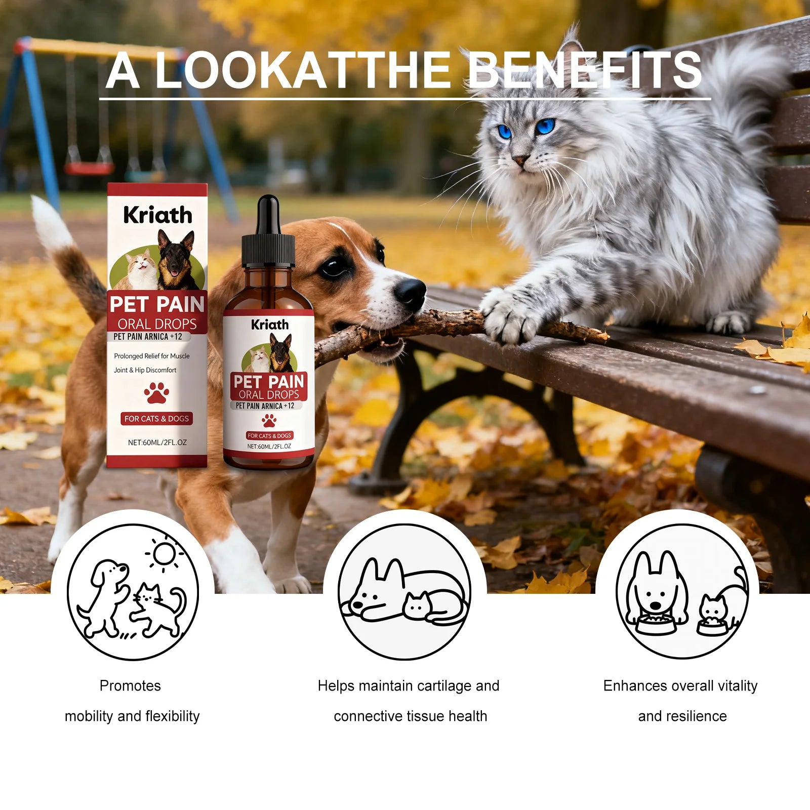 Pet Herbal Care Drops Effectively Nourish Joints Maintain Cartilage Health Enhance Resilience Gentle Ingredients Pet Joint Drops Qme