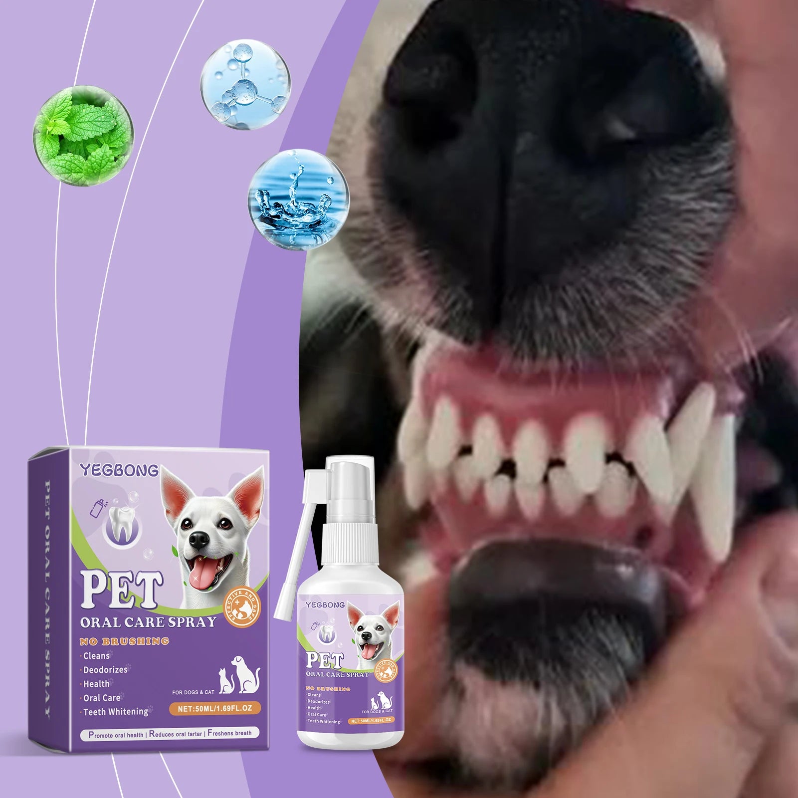 Pet Flea Spray Spray Effectively Removing Fleas Ticks Relieve Skin Itching Natural Ingredients Non Irritating Pet Flea Repellent Qme