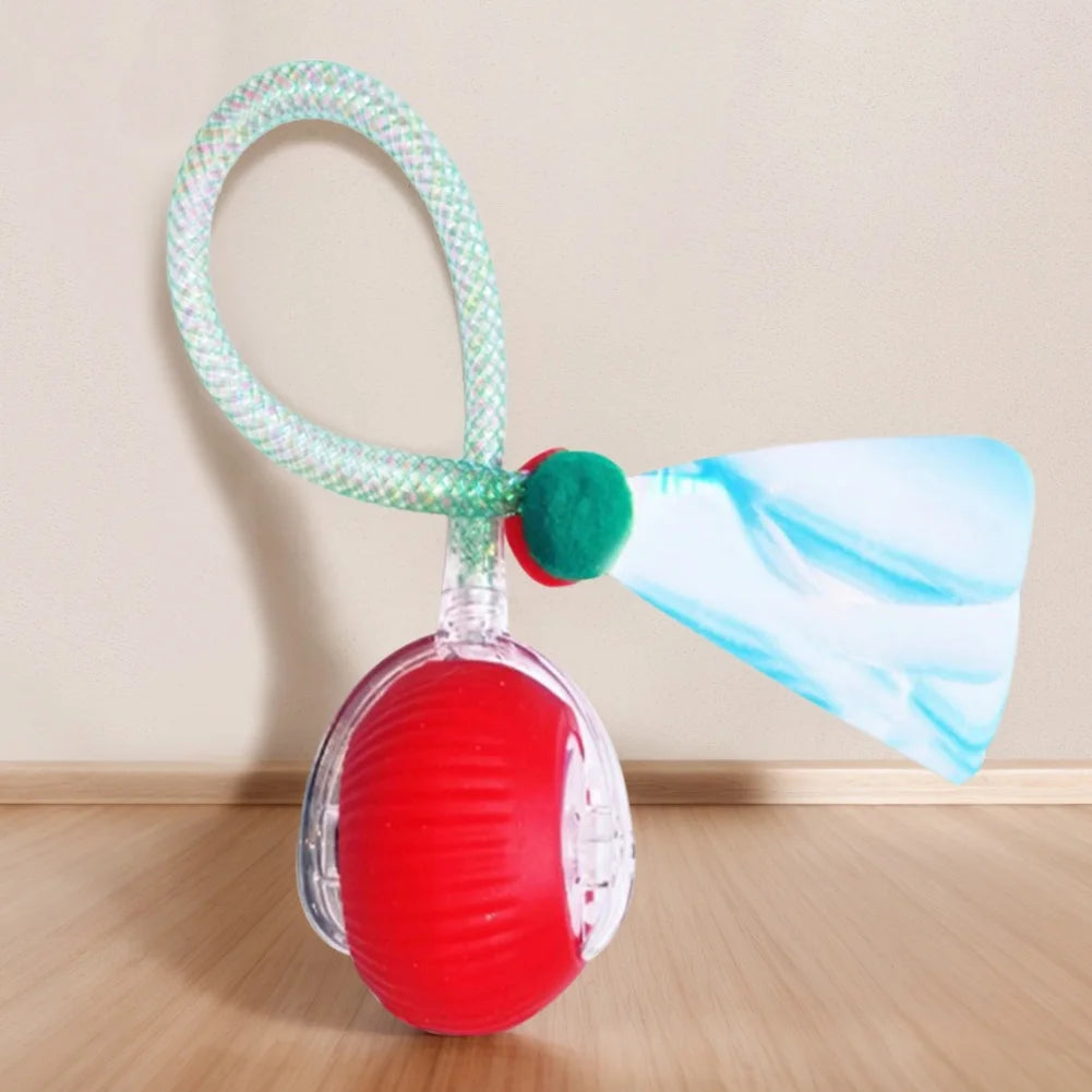 Interactive Cat Plaything Ball Motion Activated Electric Cat Rechargeable for Bored Indoor Adult Cat Pet Supplies Qme