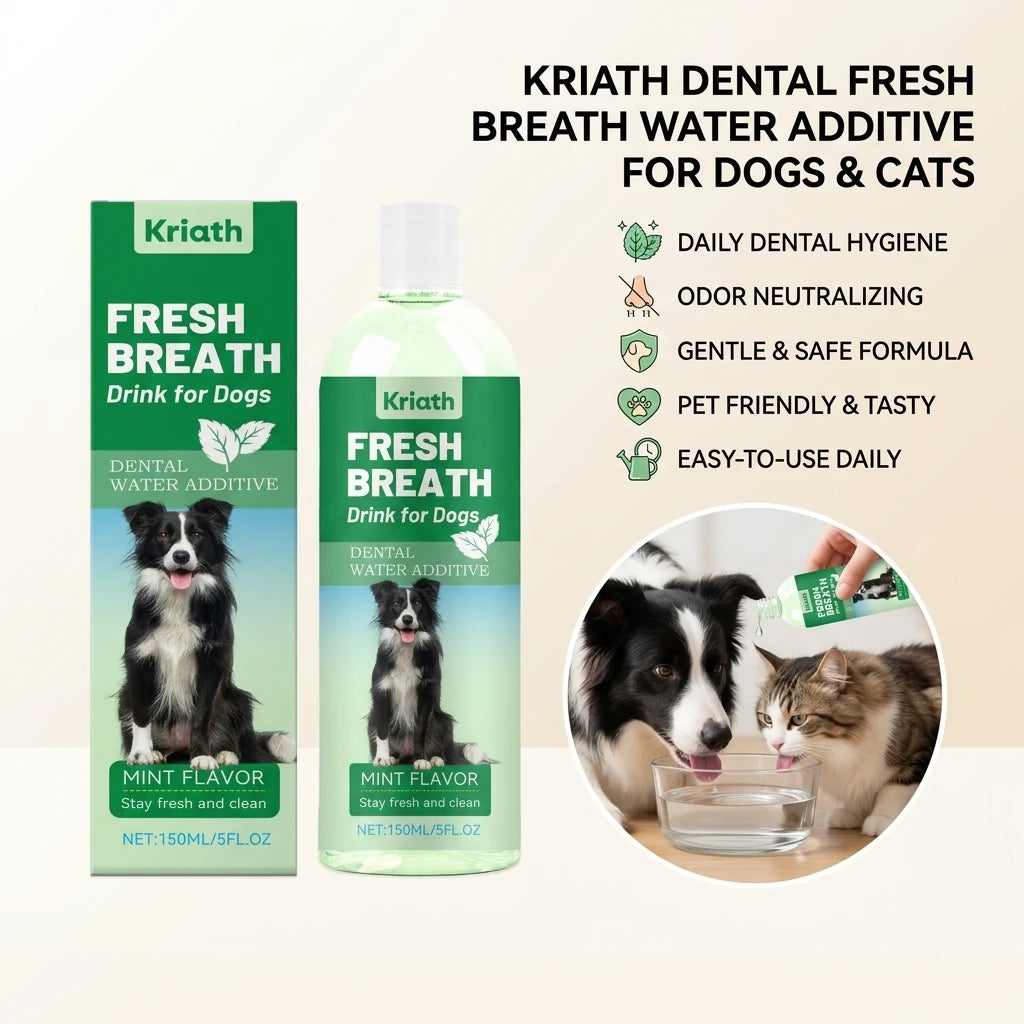 Mint Flavor Pet Mouthwash Removing Plaque Eliminates Bad Breath Freshing Breath Dog Dental Care Wate Pet Oral Hygiene Solution Qme