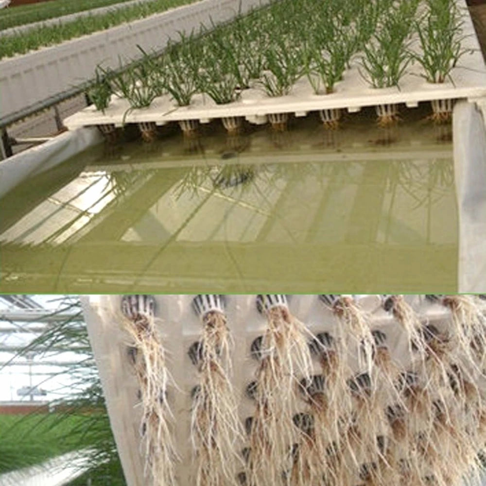 50PCS Plant Net Cup & 50PCS Cylinders Sponge Soilless Net Basket Grow Orchids Hydroponics Cups Garden Supplies Qme