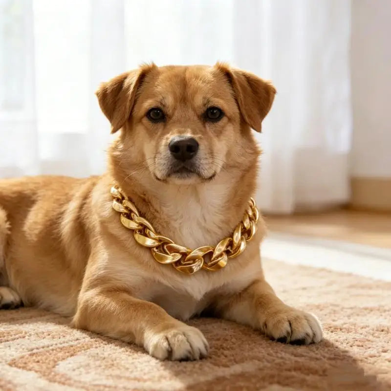 Dog Chain Cuban Collar Walking Metal Chain Collar With Design Secure Buckle Pet Cat Cuban Collar Jewelry Accessories Qme