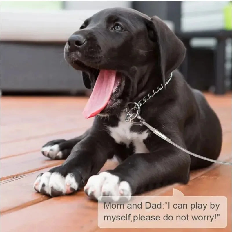 Double-headed Dog Tie Out Cable Leash Reaction Rope Metal Buckle Qme