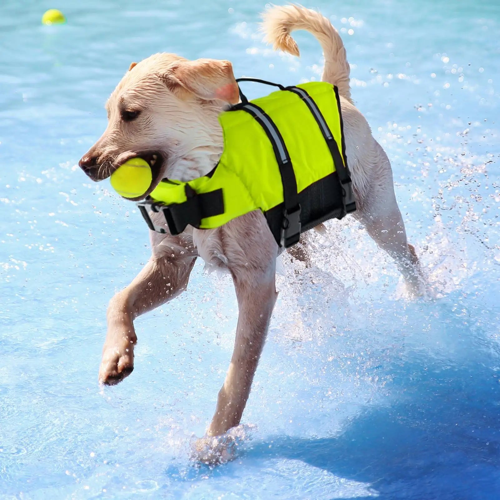 Dog Life Jacket High Visibility Dog Life Vest For Boating Swimsuit With Handles For All Breeds Small Medium Doggy Outdoor Beach Qme