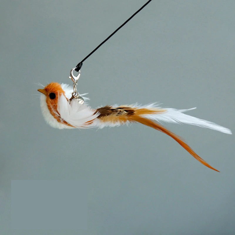 Funny Bird Feather Cat Wand With Bell Accessories Interactive Toys For Cats Kitten Hunting Teaser Exercise Pet Products Qme Coffee Bird