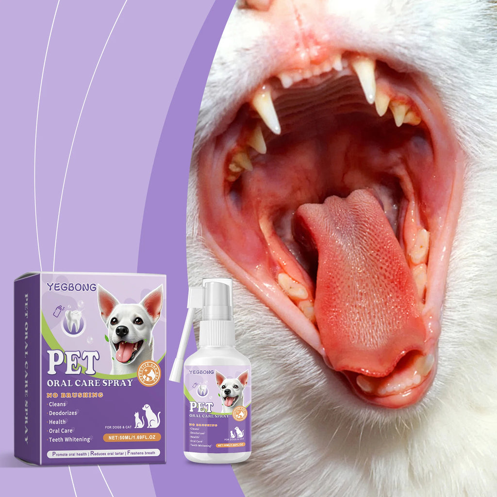 Pet Flea Spray Spray Effectively Removing Fleas Ticks Relieve Skin Itching Natural Ingredients Non Irritating Pet Flea Repellent Qme