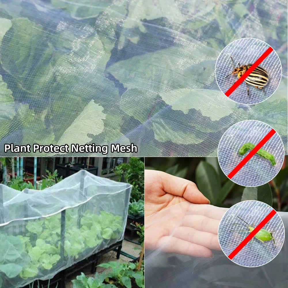 Garden Plant Insect Netting Vegetable, Flower and Fruit Care Cover Netting Pest Control Bird-proof 60 Mesh Protective Netting Qme