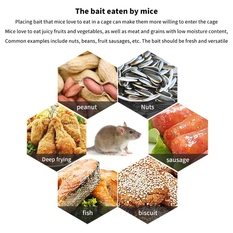 Rat Can Fit Mice Rodent Catcher Trap Cage Multi-catch Mouse Pest Qme