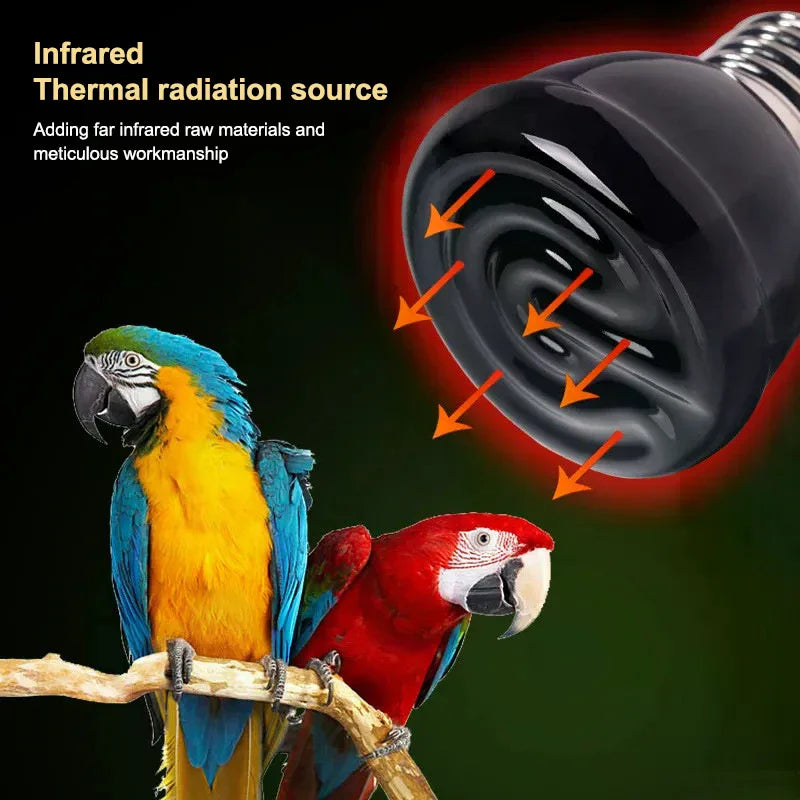 E27 Pet Heating Lamp With Anti-scalding Lampshade For Turtle Snake Lizard Infrared Ceramic Emitter Heat Light 25/50/75/100W Qme