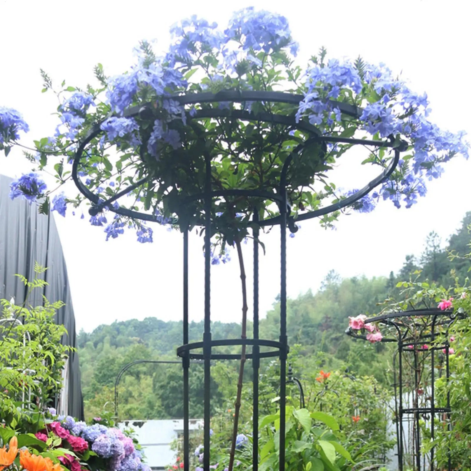 Trellis for Climbing Plants Vegetable Vertical Support Frame Outdoor Gardening Support Trellis for Climbing Plants Flowers Vines Qme