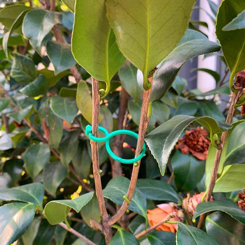 ^100Pcs Garden Vine Strapping Clips Plant Bundled Buckle Ring Holder Tomato Qme