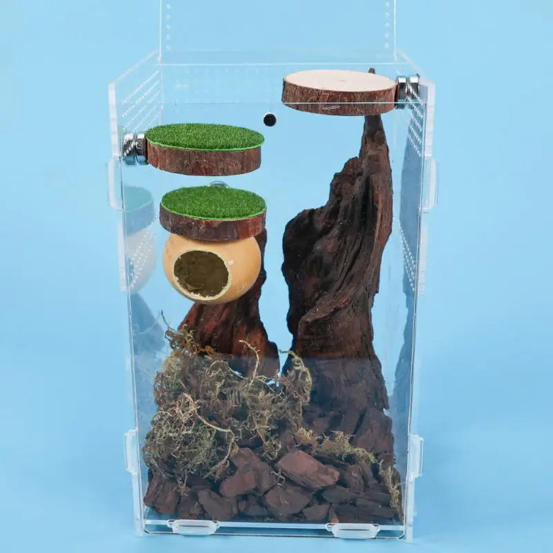 Natural Hide Decorative Jumping Spider Enclosure Decor Handmade Mini Qme
