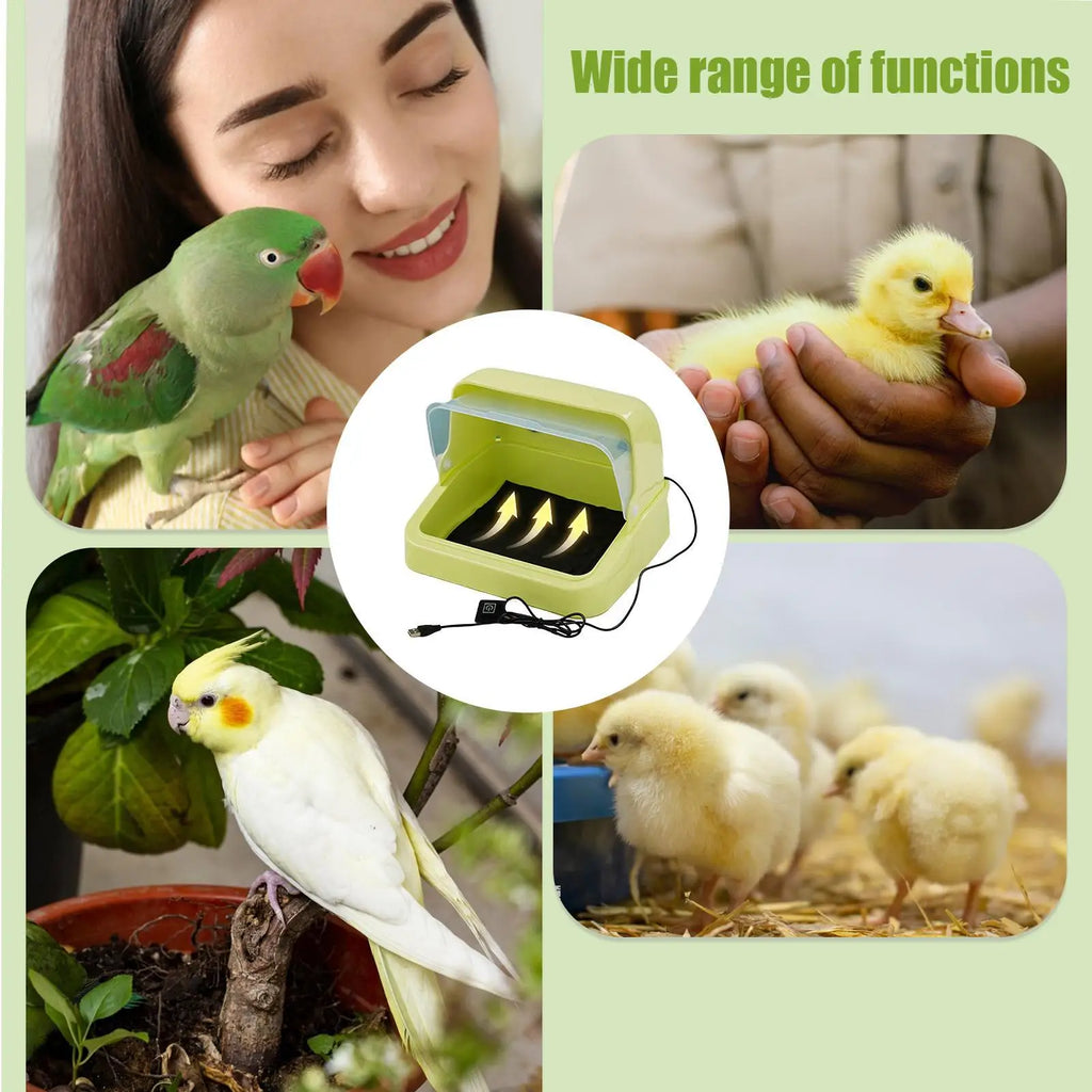 Chick Brooder Poultry Breeding Cage Built-in Heating Pad Heater Box Qme